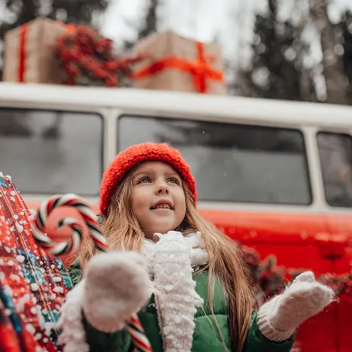 Holiday Trips